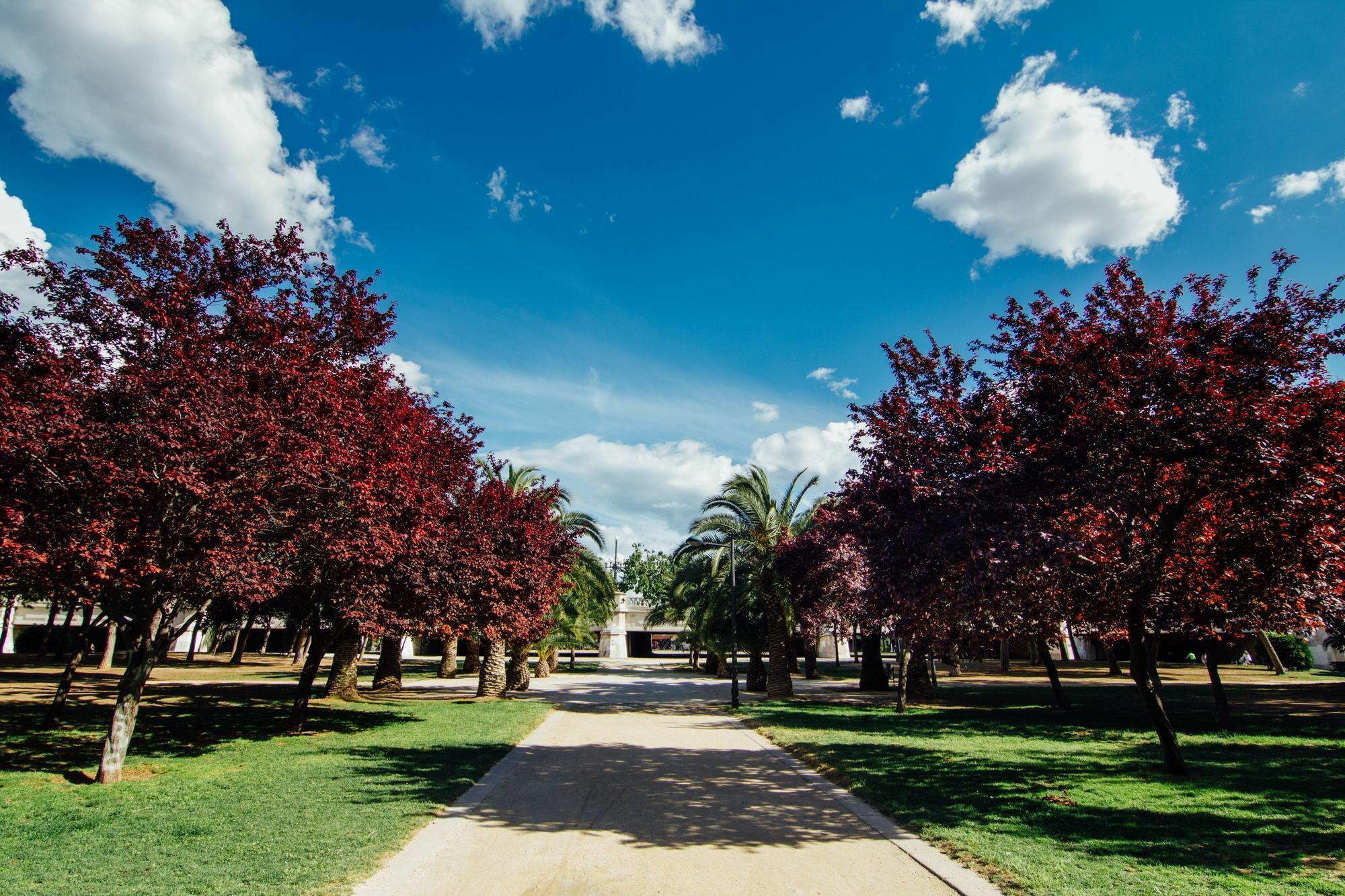 Anderson City Flats บาเลนเซีย ภายนอก รูปภาพ